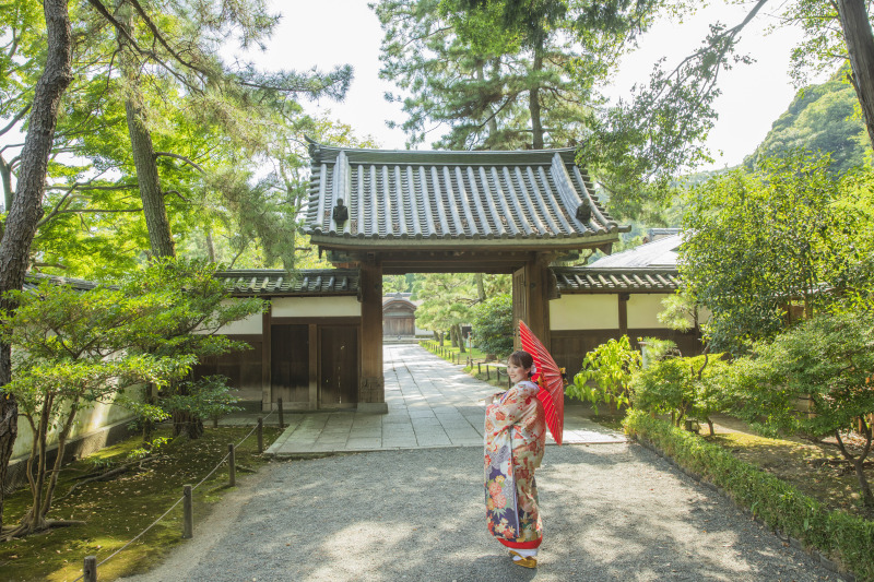 真夏の三溪園