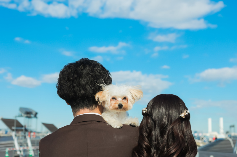 わんちゃんと一緒に青空の下　photo　by　谷澤明美