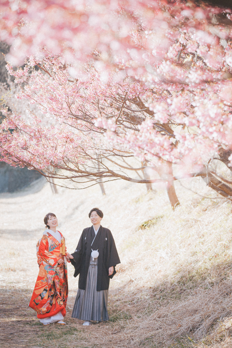 河津桜プラン