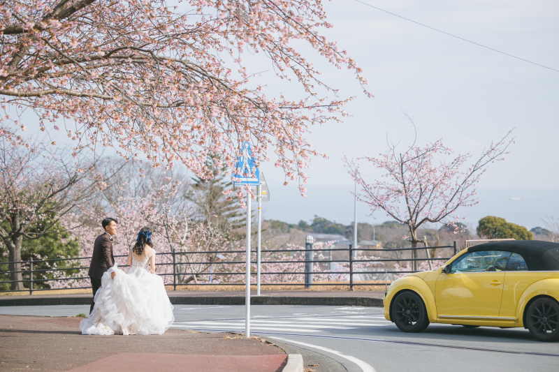 ピンクの桜&times;ブラウンスーツ。お洒落に魅せる伊豆高原ウェディングフォト