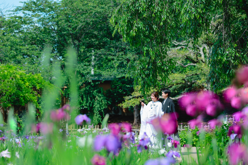 菖蒲や紫陽花咲く新緑の三溪園 photo by谷澤明美