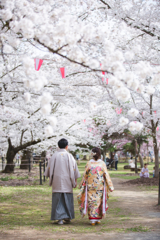 【軽井沢だより】桜撮れますよ！