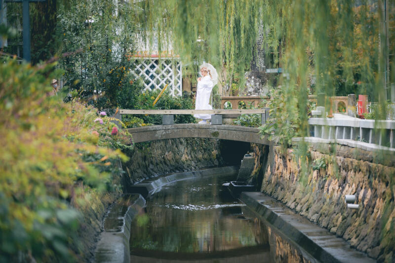 ❀【期間限定‼️】2022年河津桜ロケーション ❀