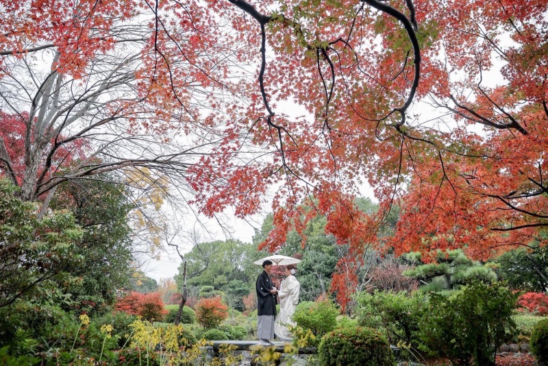 紅葉シーズン