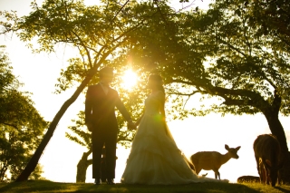 月に一度のビッグブライダルフェア開催します!!