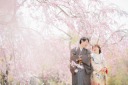 【桜】和装おすすめロケ地4選