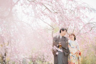 【桜】和装おすすめロケ地4選