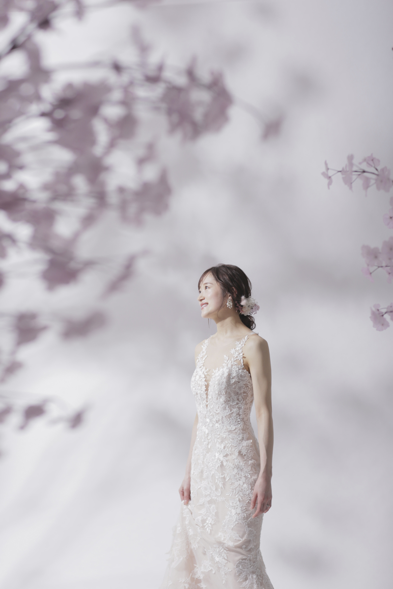 スタジオ×桜