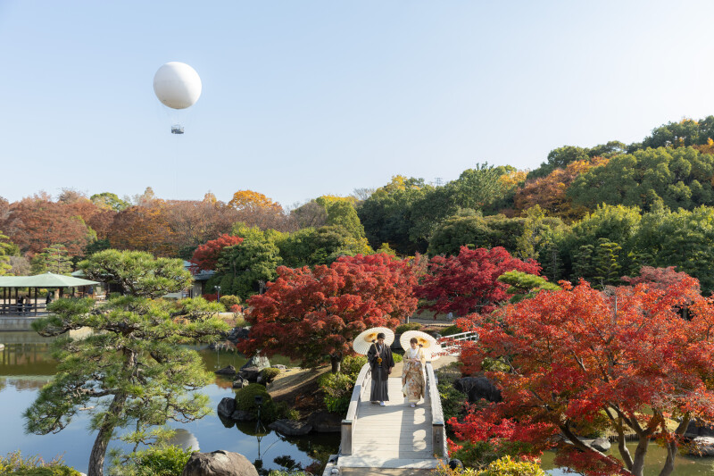2025年大仙公園の紅葉見学〜！