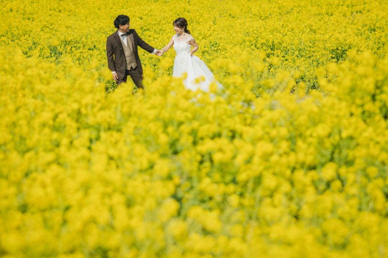 自然たっぷりお花たっぷりの淡路花さじきロケ！！