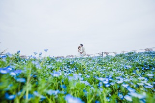 【春のおすすめロケ地5選】