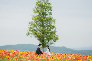 春、初夏に向けて