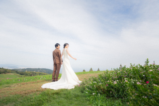 秋の花さじきロケーション