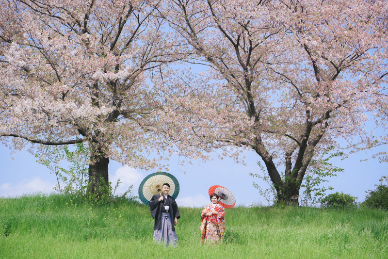 【桜】和装おすすめロケ地4選