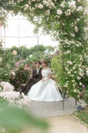 夏の遊園地撮影はいかがですか？【メリーゴーランドとローズガーデン】