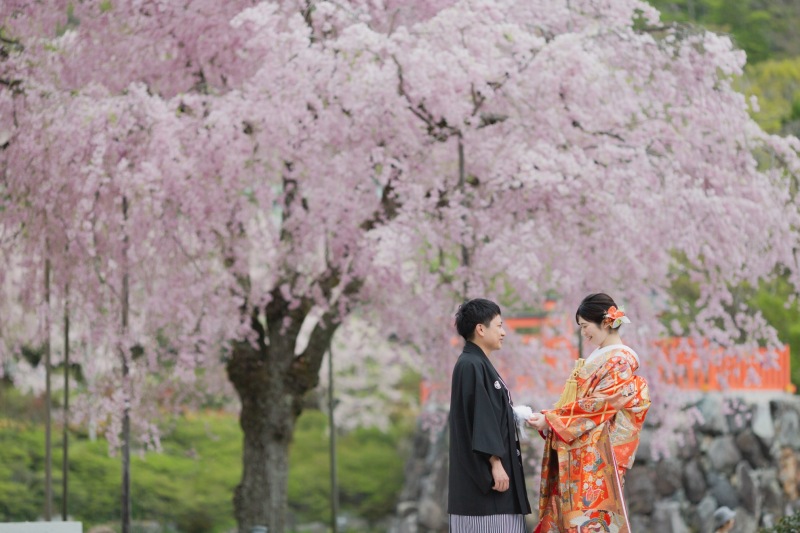 【桜】和装おすすめロケ地4選