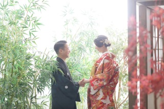 屋内庭園スタジオ