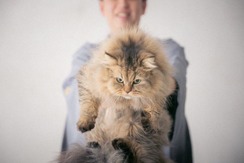 大好きな猫ちゃんとの愛溢れた思い出^^
