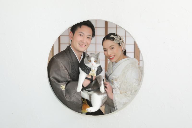 ねこさんと