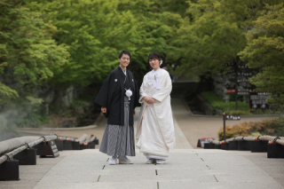 青紅葉のきれいな季節に