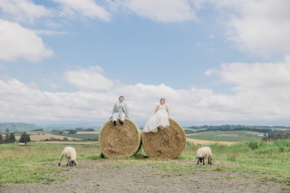 ハネムーン美瑛撮影