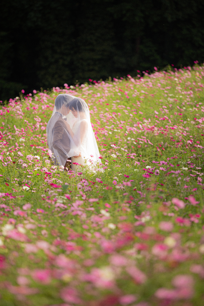 秋の花さじきロケーション