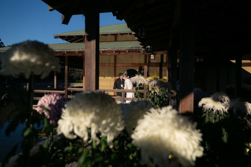 秋の大仙公園で、おふたりらしさ全開の撮影を!