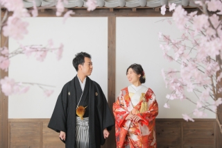 屋内庭園スタジオ × 桜