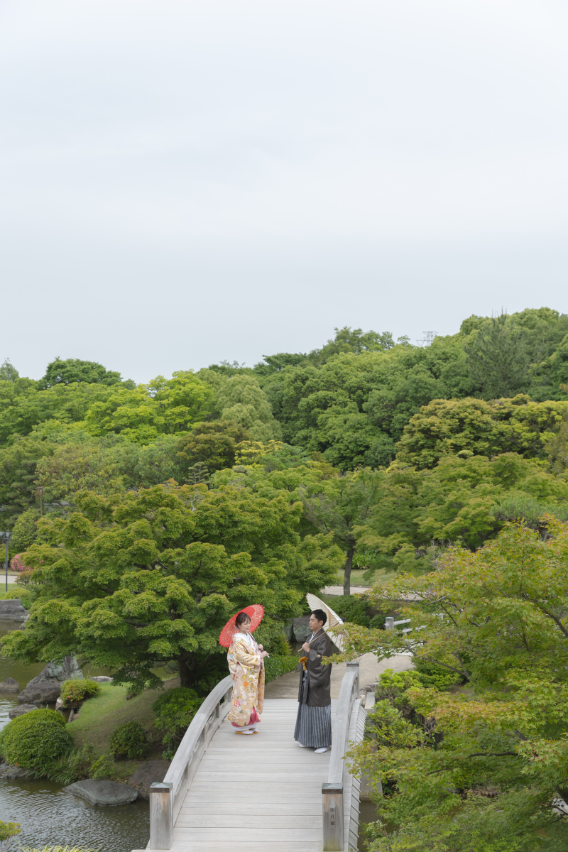 緑いっぱい!新緑の大仙公園