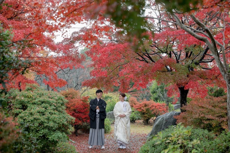 紅葉シーズン