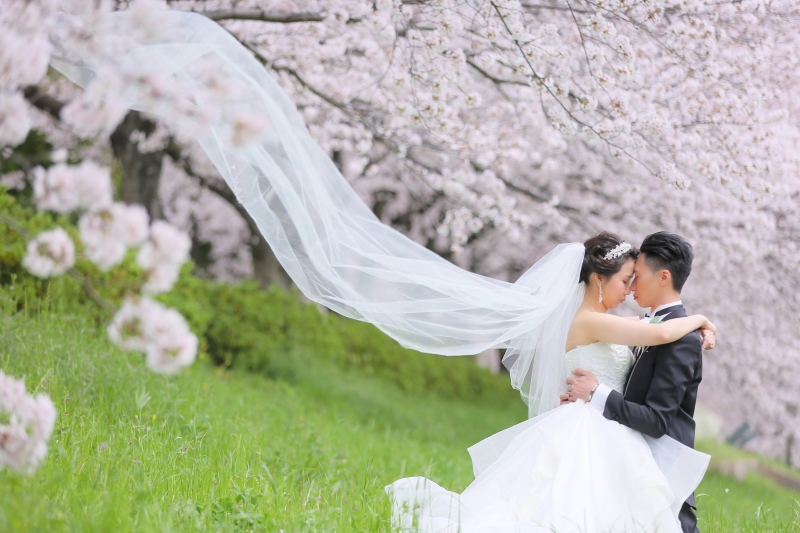 【桜】和装おすすめロケ地4選