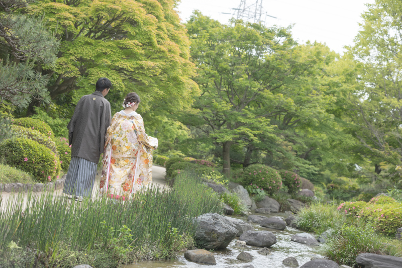 緑いっぱい!新緑の大仙公園