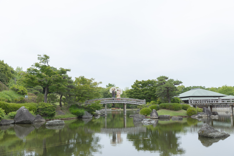 緑いっぱい!新緑の大仙公園