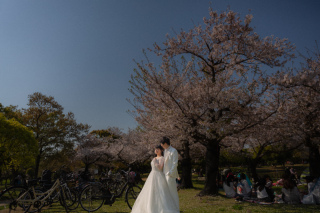 まだまだいくよ！春爛漫桜祭り