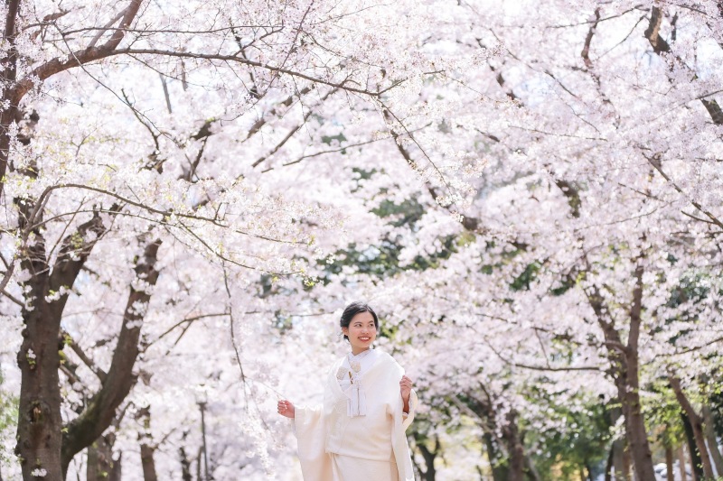 【桜】和装おすすめロケ地4選