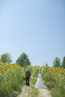 ハーベストの丘ロケーション