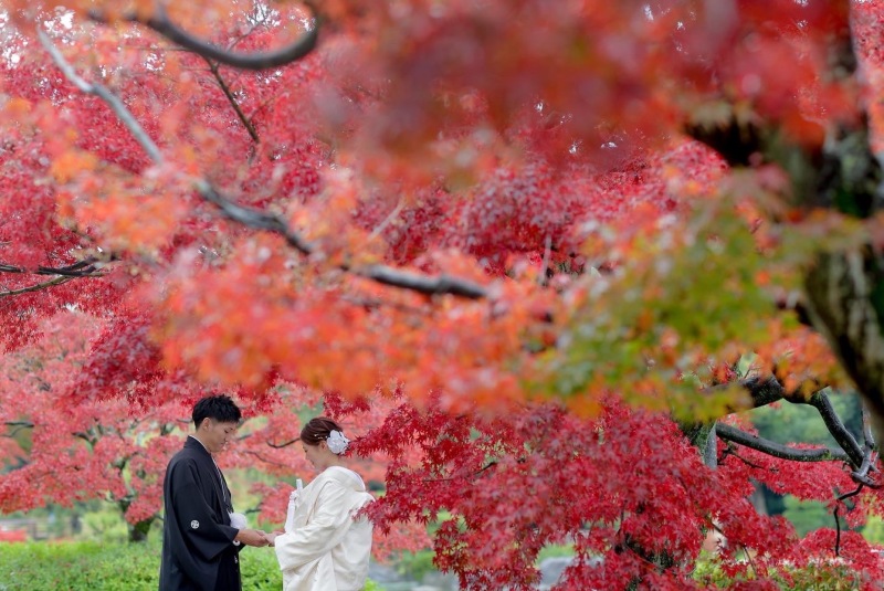 紅葉シーズン