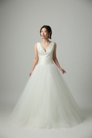 新しくドレスが仲間入り