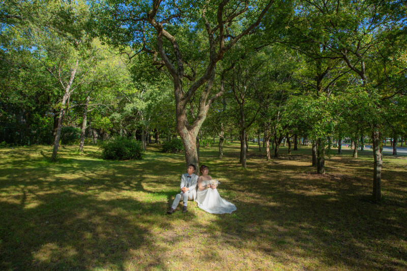 2025年コスモスとの撮影風景【鶴見緑地公園】