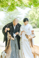 奈良での和装前撮り!鹿との触れ合いも楽しめる素敵な一日