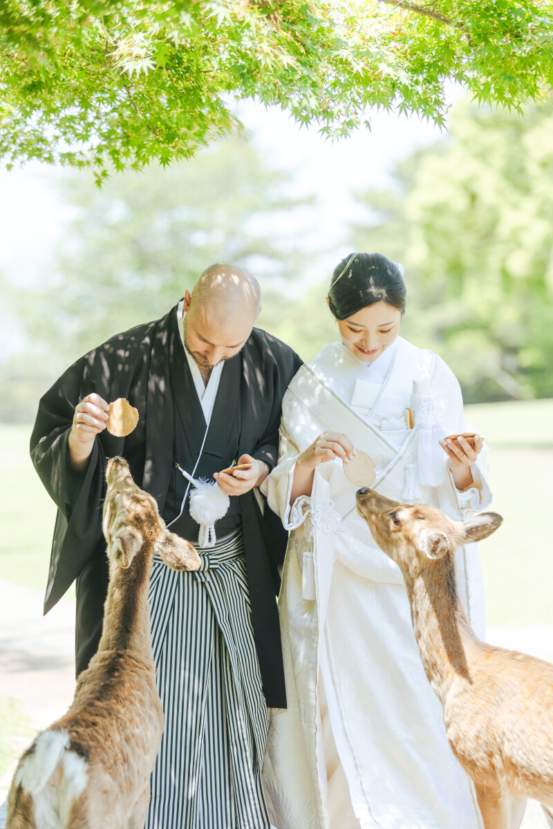 奈良での和装前撮り！鹿との触れ合いも楽しめる素敵な一日