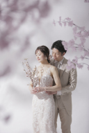 スタジオ&times;桜