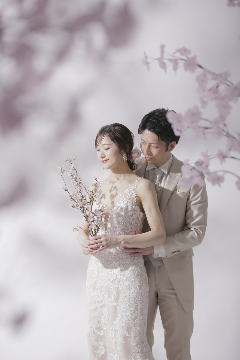 スタジオ×桜