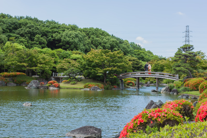 夏の大仙公園