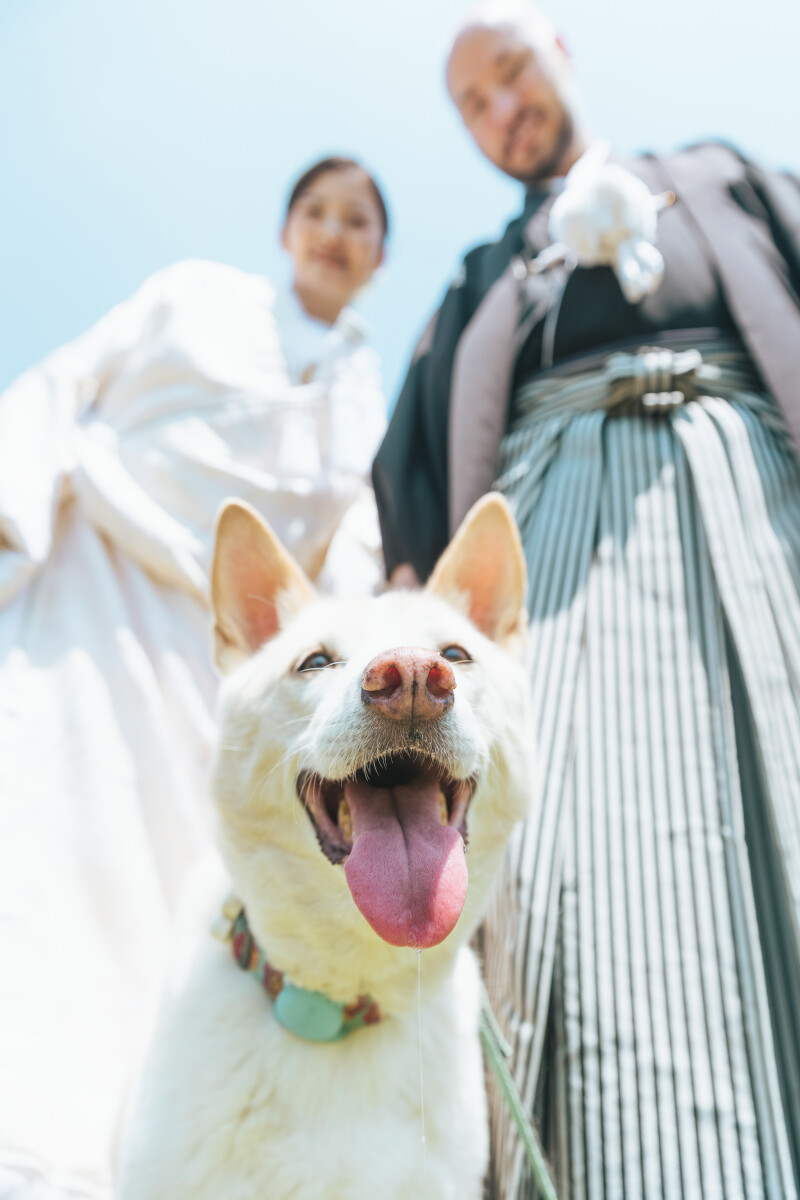 奈良での和装前撮り！鹿との触れ合いも楽しめる素敵な一日