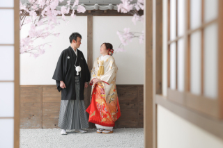 屋内庭園スタジオ!