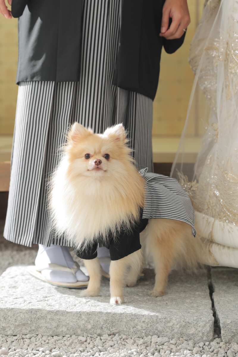 癒しショット♡