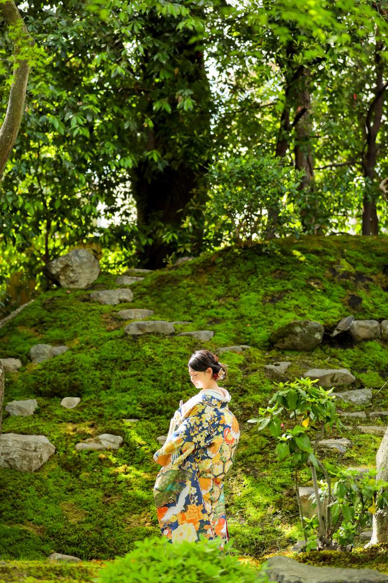 京都の新緑ロケの季節です。