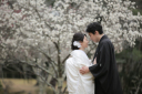 【期間限定！】梅×フォトウェディング！