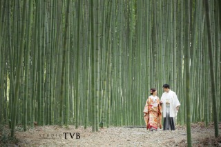 梅*大覚寺ロケーション*